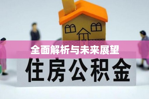 长阳全面解析与未来展望